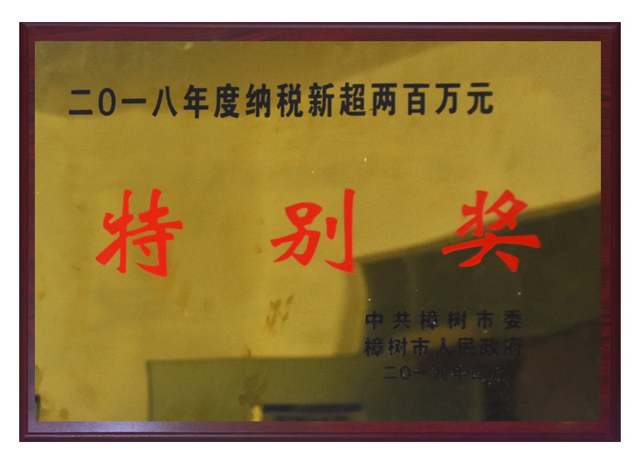 特别奖